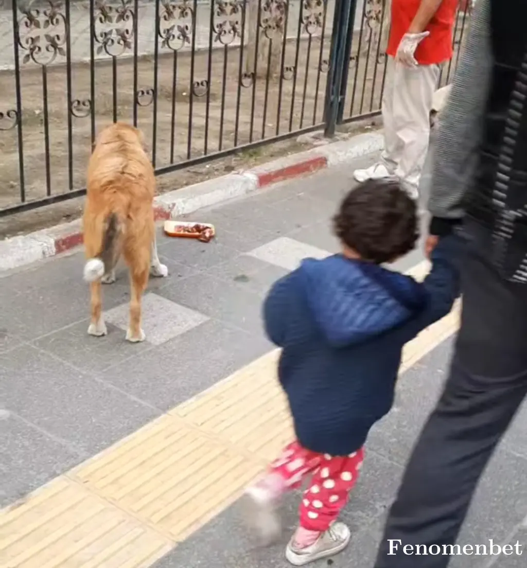 Hayatagulumse tarafından paylaşılan fotoğraf