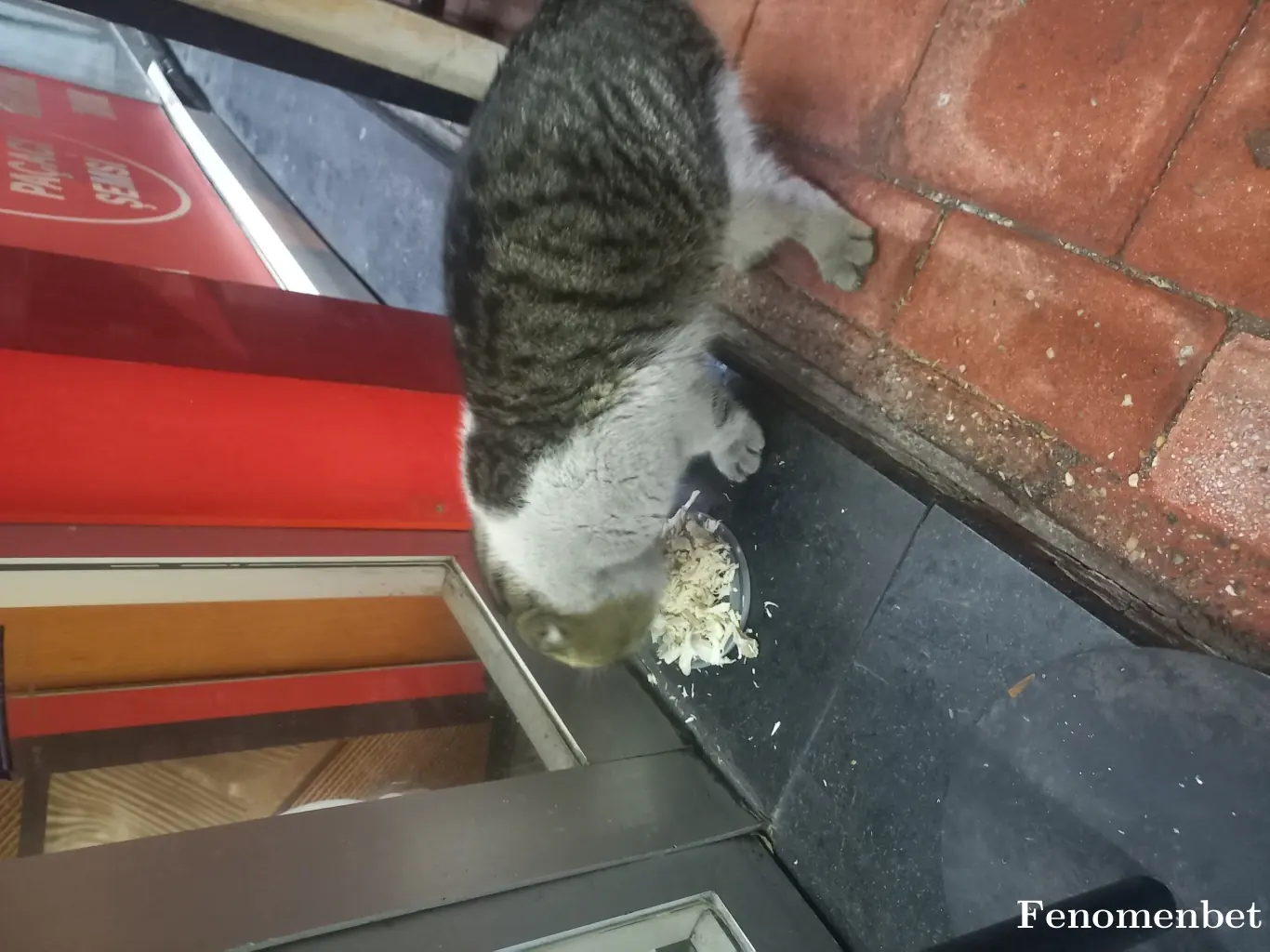 onurcan6565 tarafından paylaşılan fotoğraf