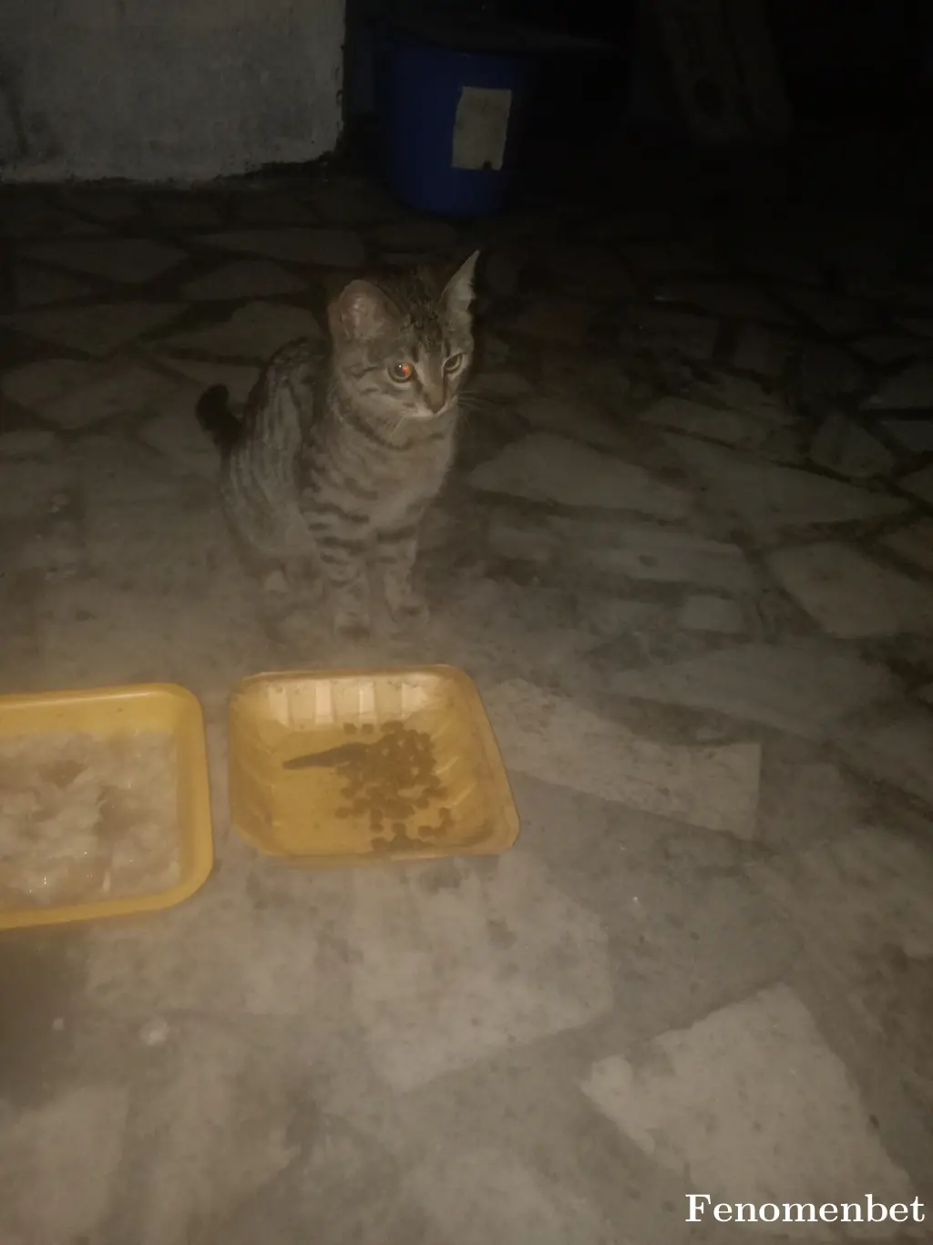 bkraknc tarafından paylaşılan fotoğraf