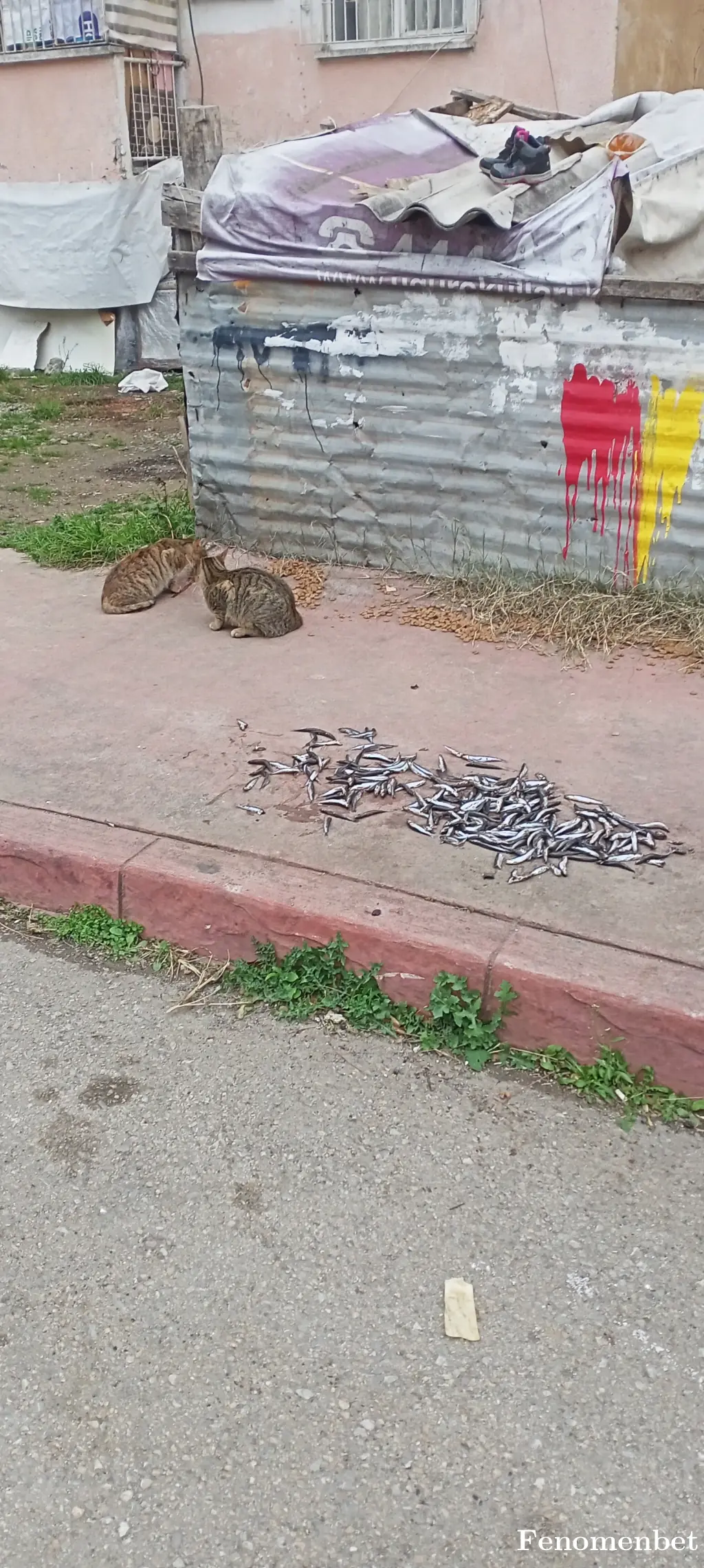 SSA55 tarafından paylaşılan fotoğraf