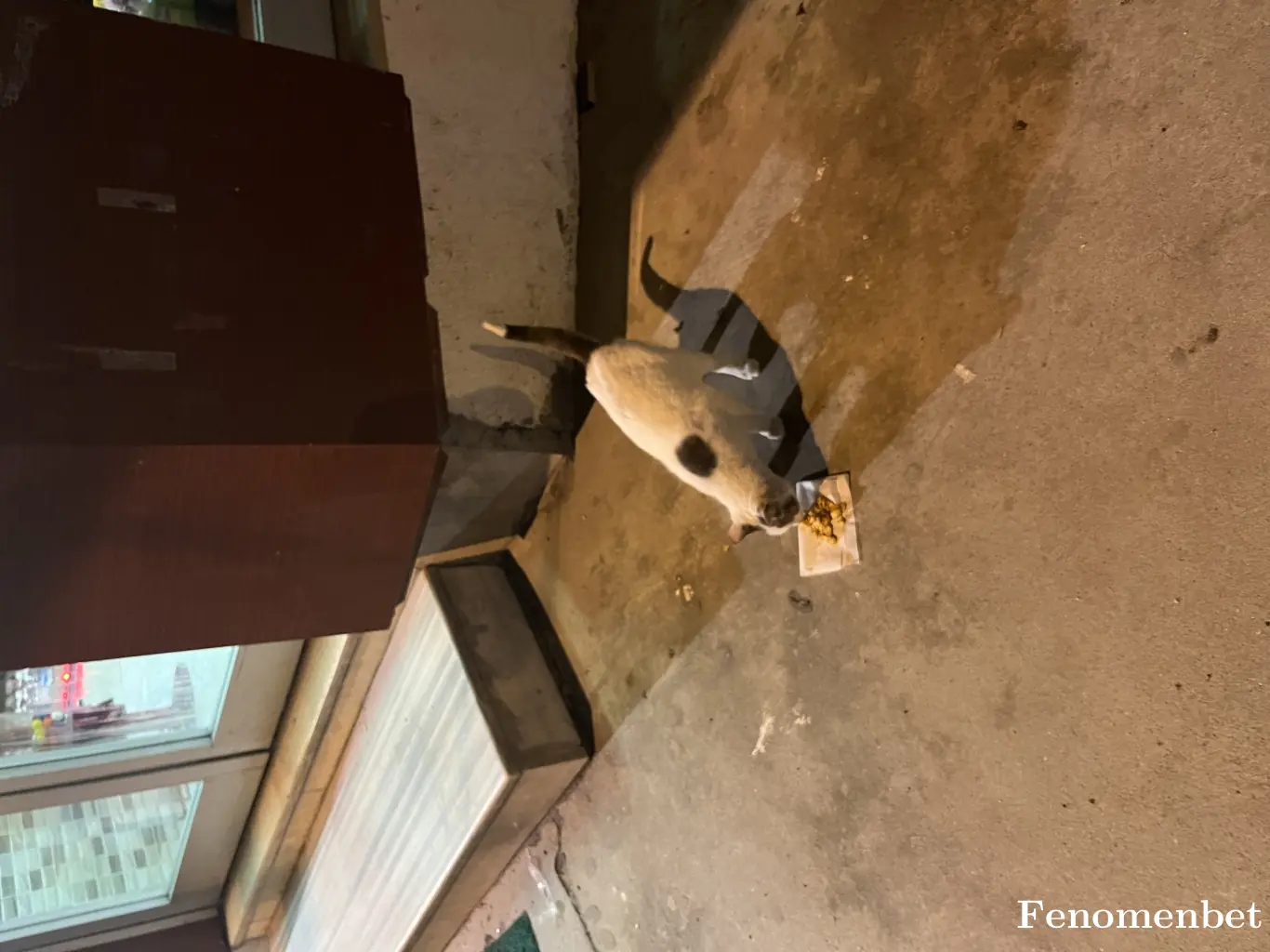 Muze38 tarafından paylaşılan fotoğraf