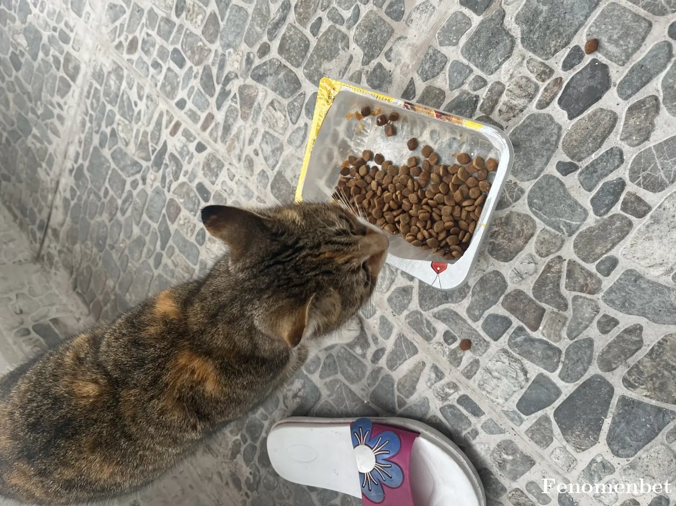 Sefika309 tarafından paylaşılan fotoğraf