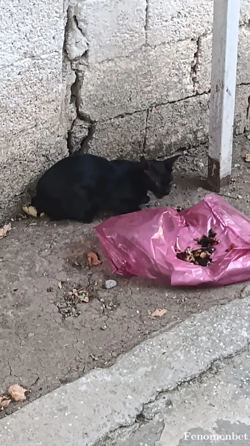 Kemalinko7373 tarafından paylaşılan fotoğraf