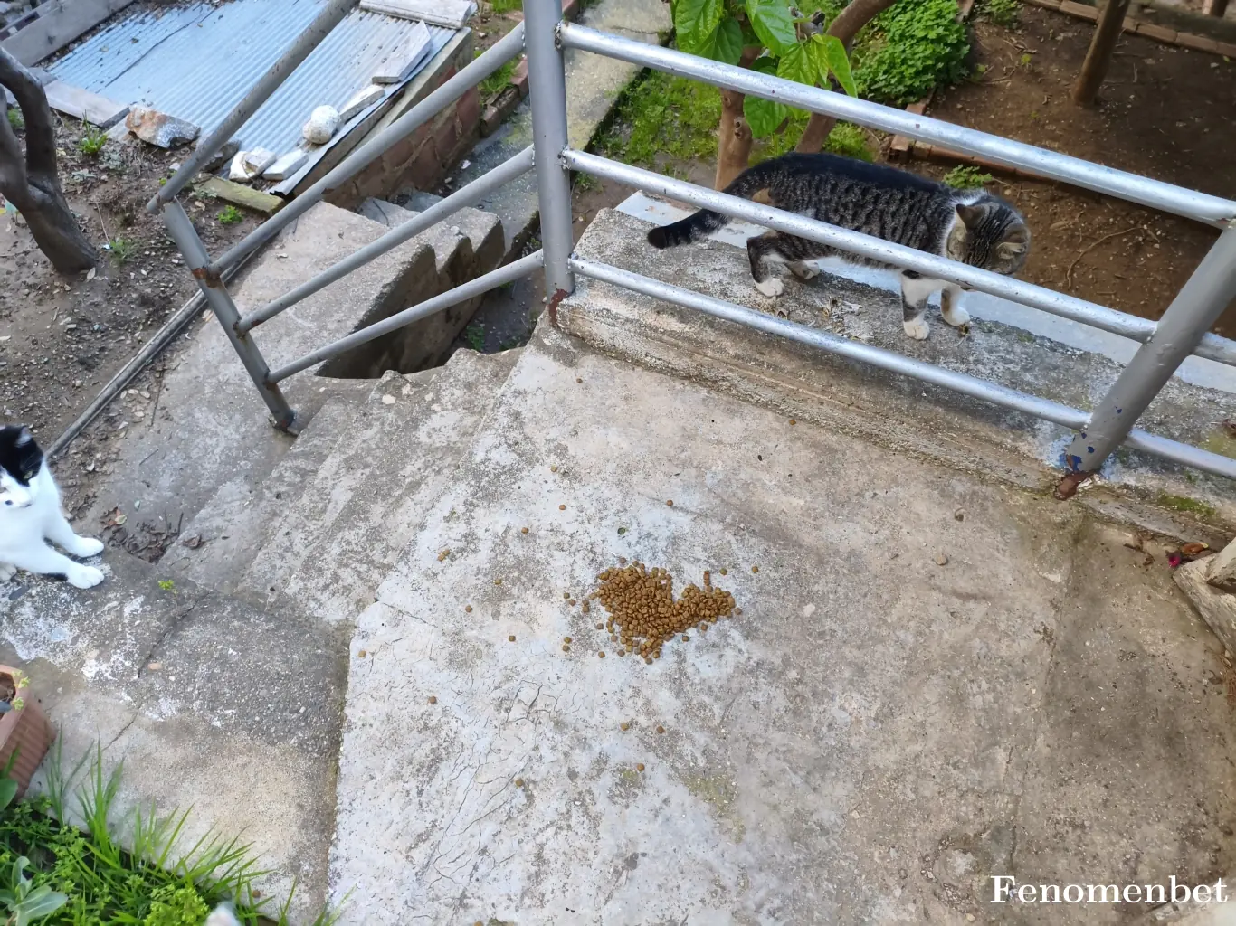 Erdem0744 tarafından paylaşılan fotoğraf