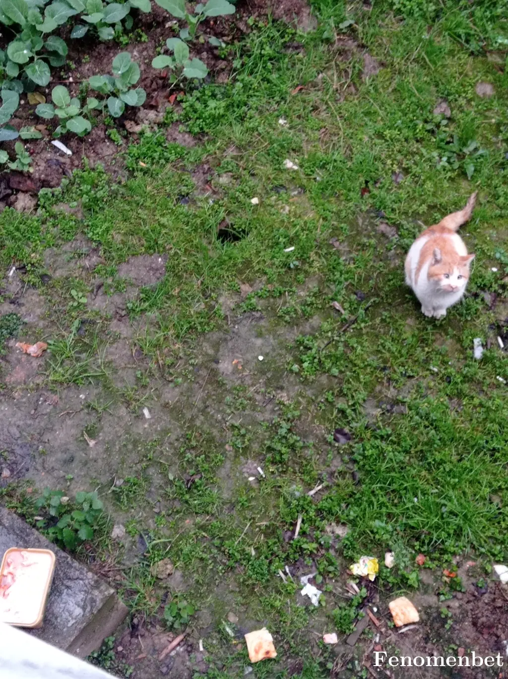 Teo5296 tarafından paylaşılan fotoğraf