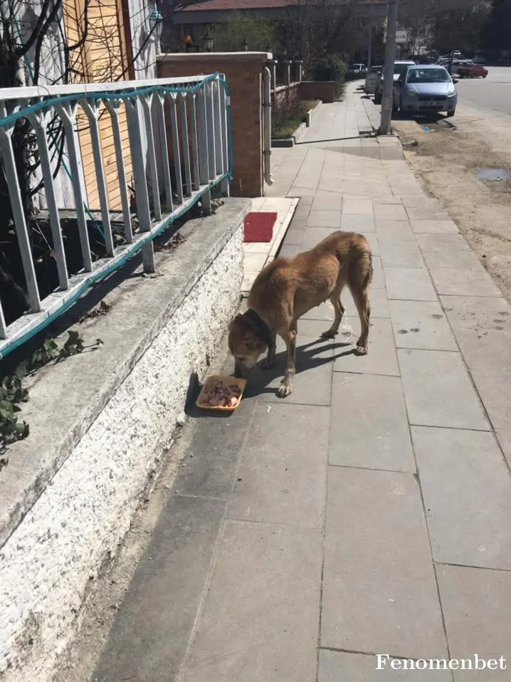 Mahmuty27  tarafından paylaşılan fotoğraf