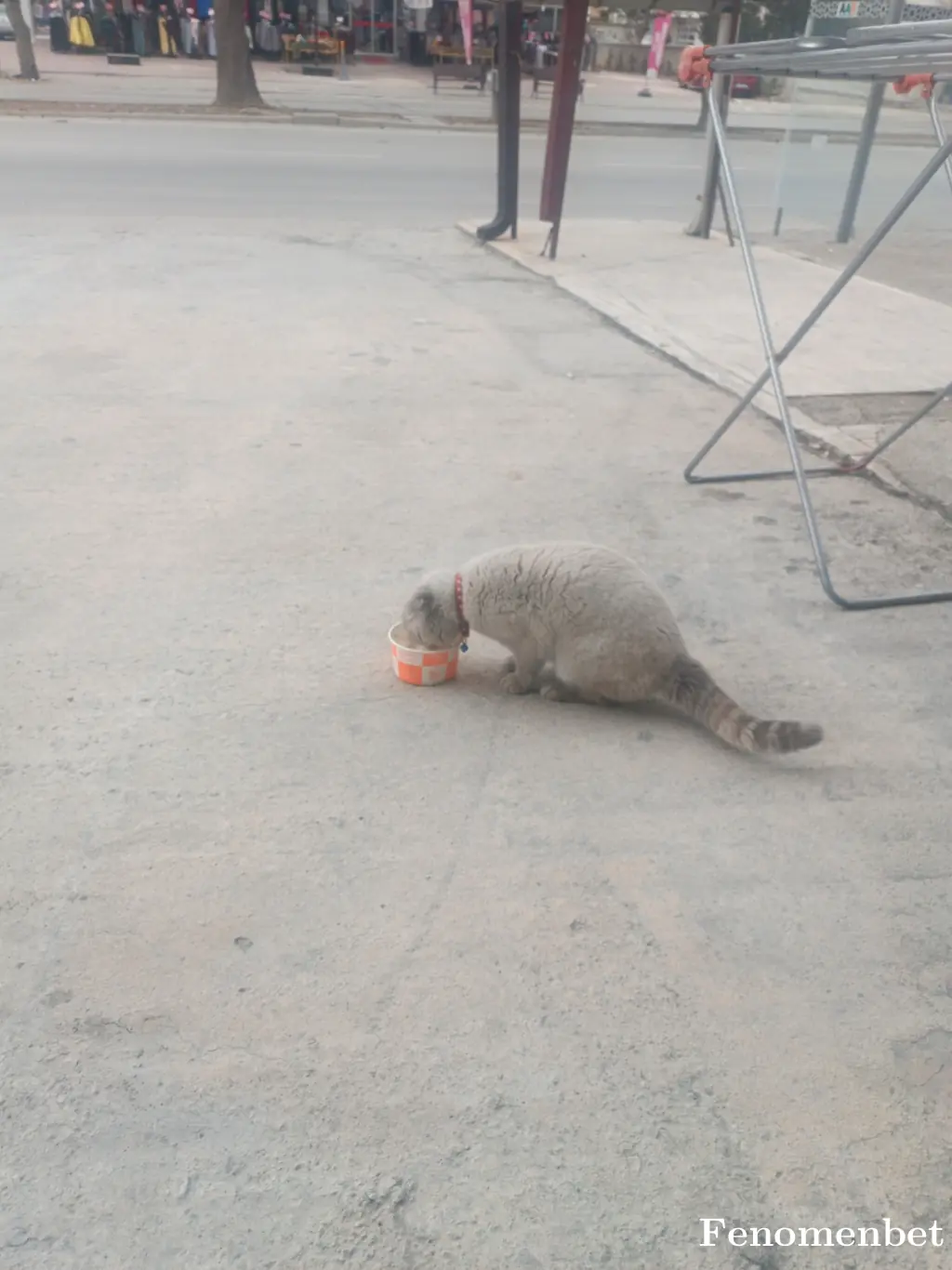 Mirzam42 tarafından paylaşılan fotoğraf