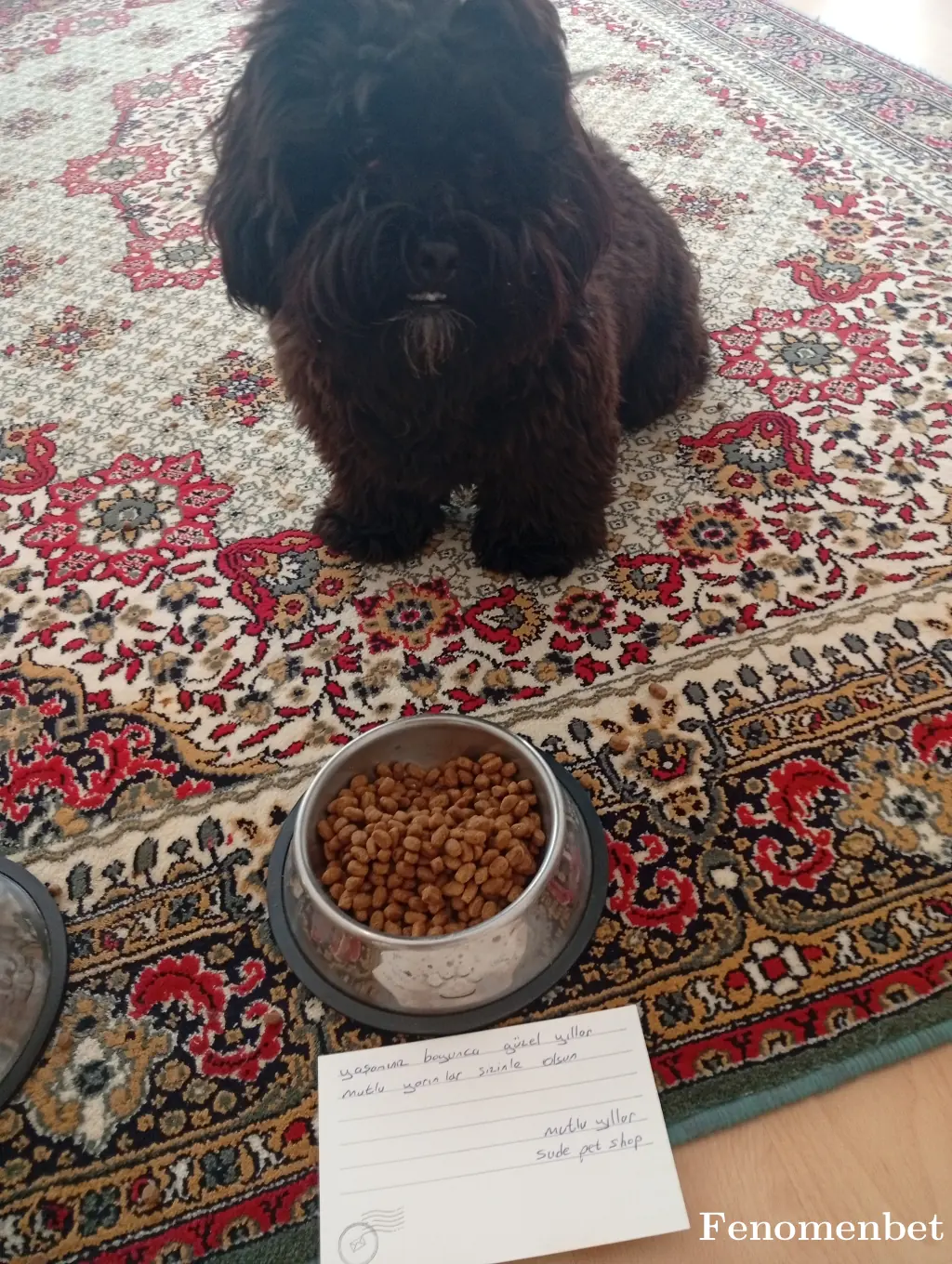 emreaytin39 tarafından paylaşılan fotoğraf