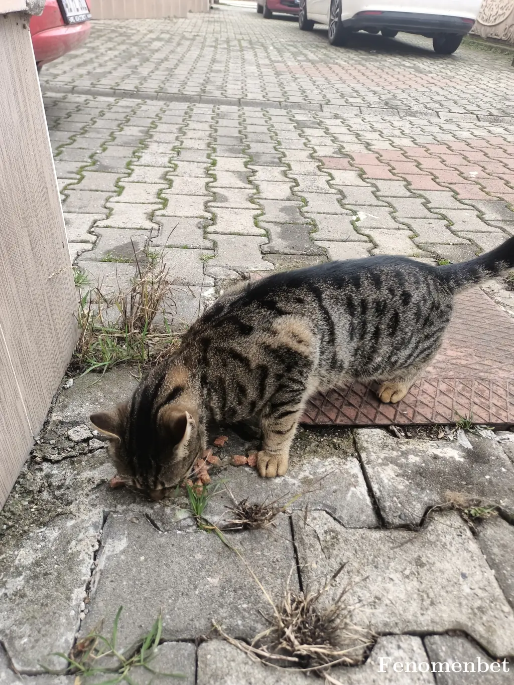 Barisdemirturk tarafından paylaşılan fotoğraf