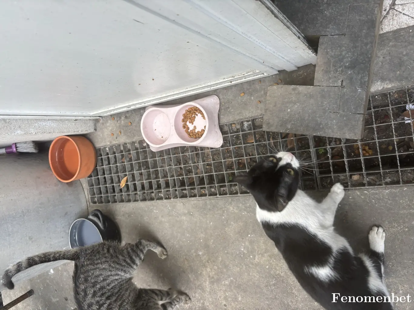 uras1231011 tarafından paylaşılan fotoğraf