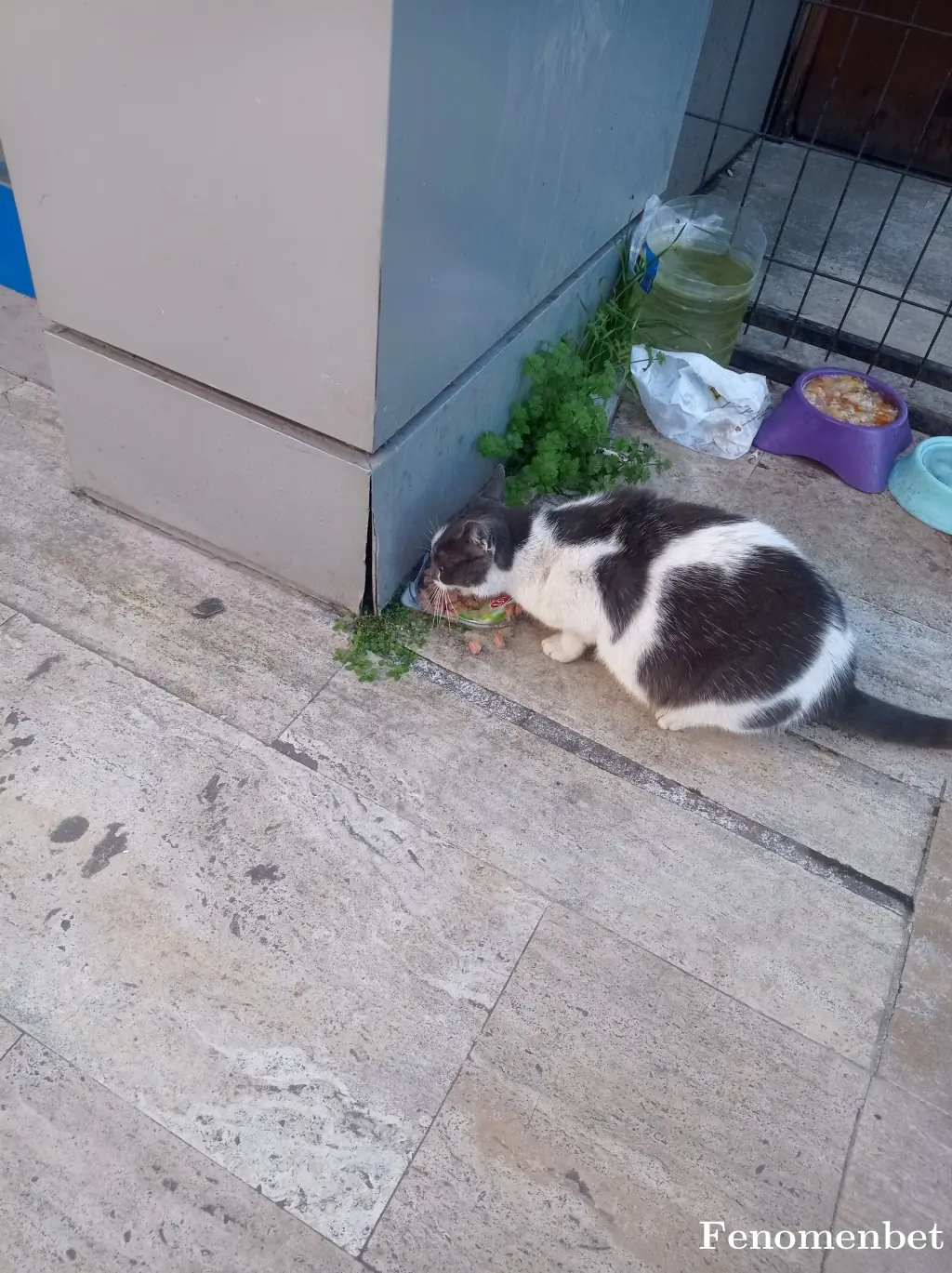 Leke11 tarafından paylaşılan fotoğraf