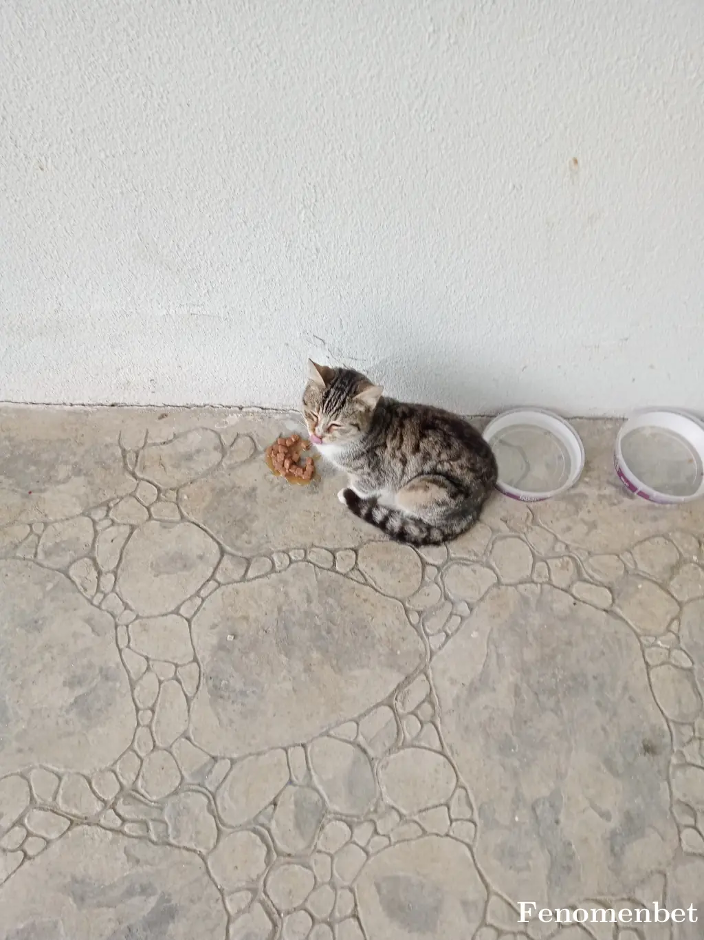 dragon1903 tarafından paylaşılan fotoğraf