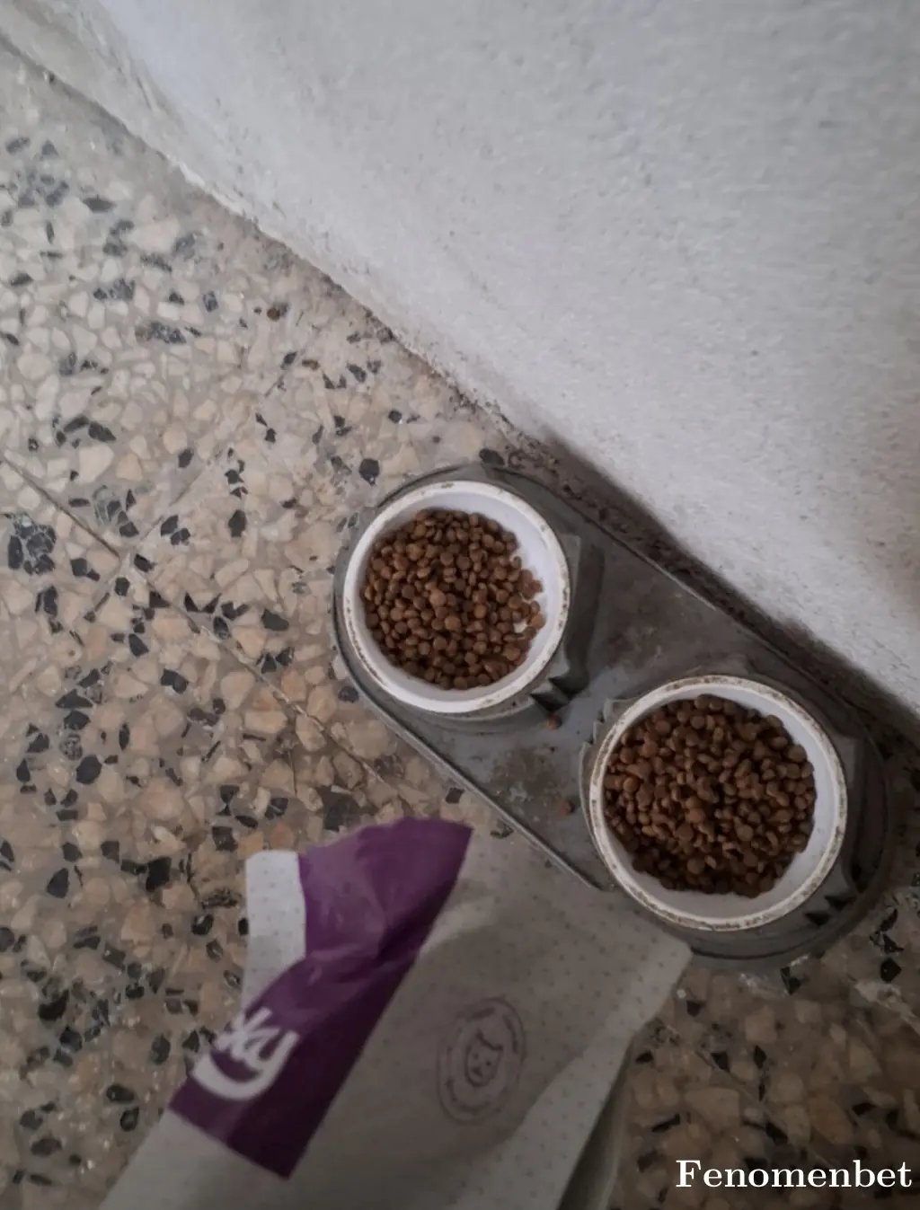 onur8795 tarafından paylaşılan fotoğraf