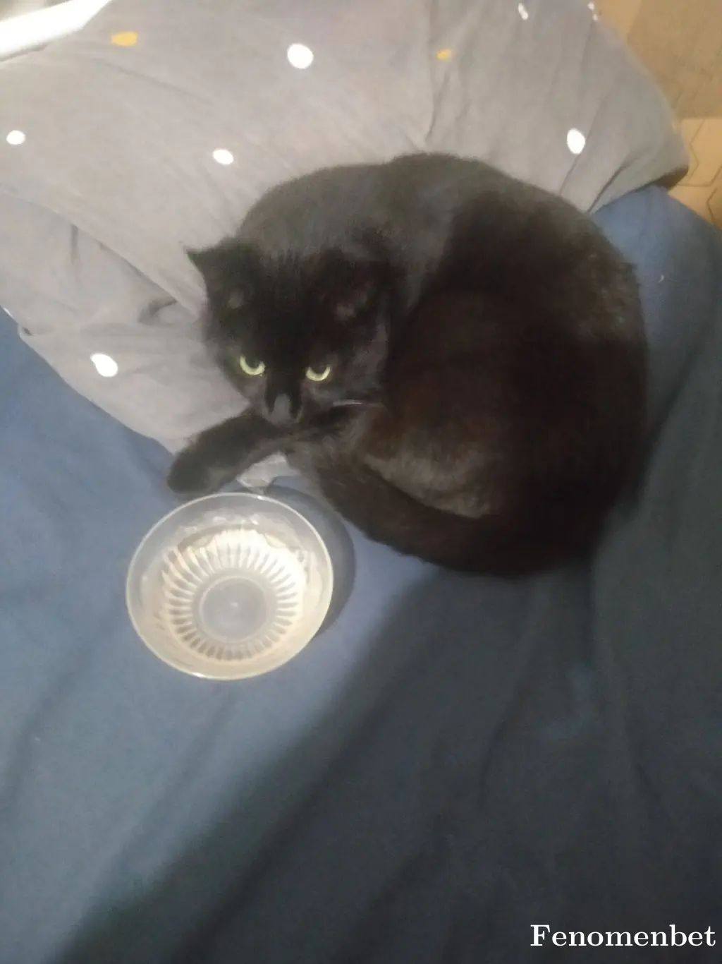 Bordo38 tarafından paylaşılan fotoğraf