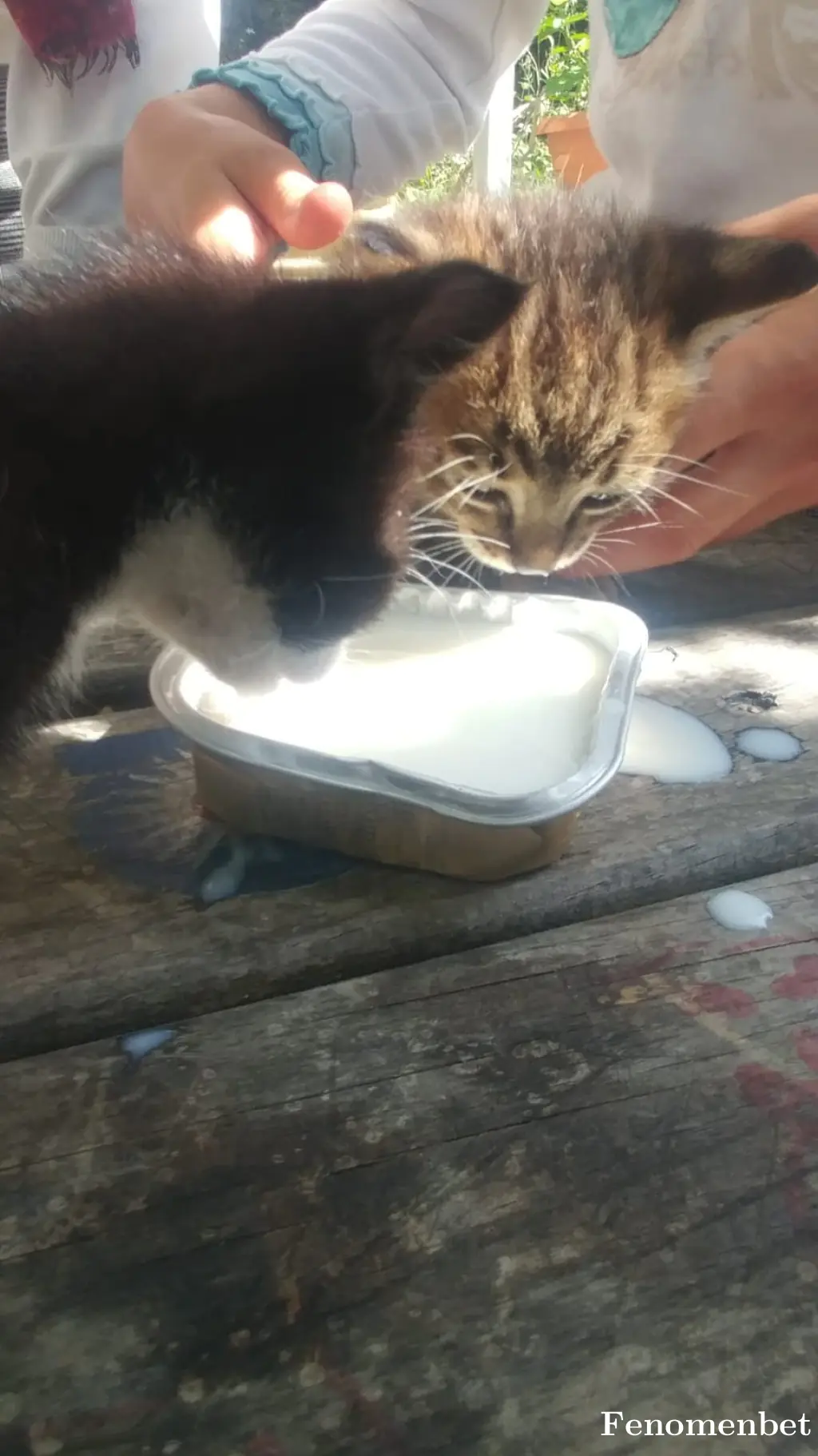 youlost4747 tarafından paylaşılan fotoğraf