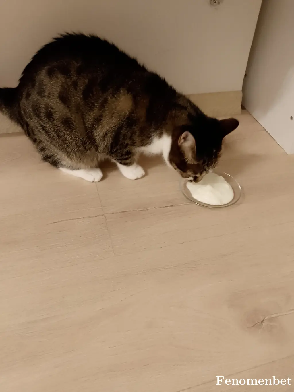 Gkmnsrn62dg tarafından paylaşılan fotoğraf