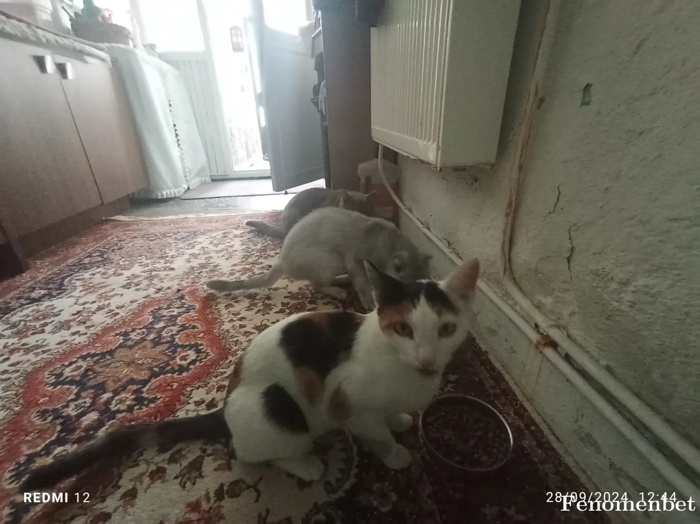 EARTHGOD tarafından paylaşılan fotoğraf