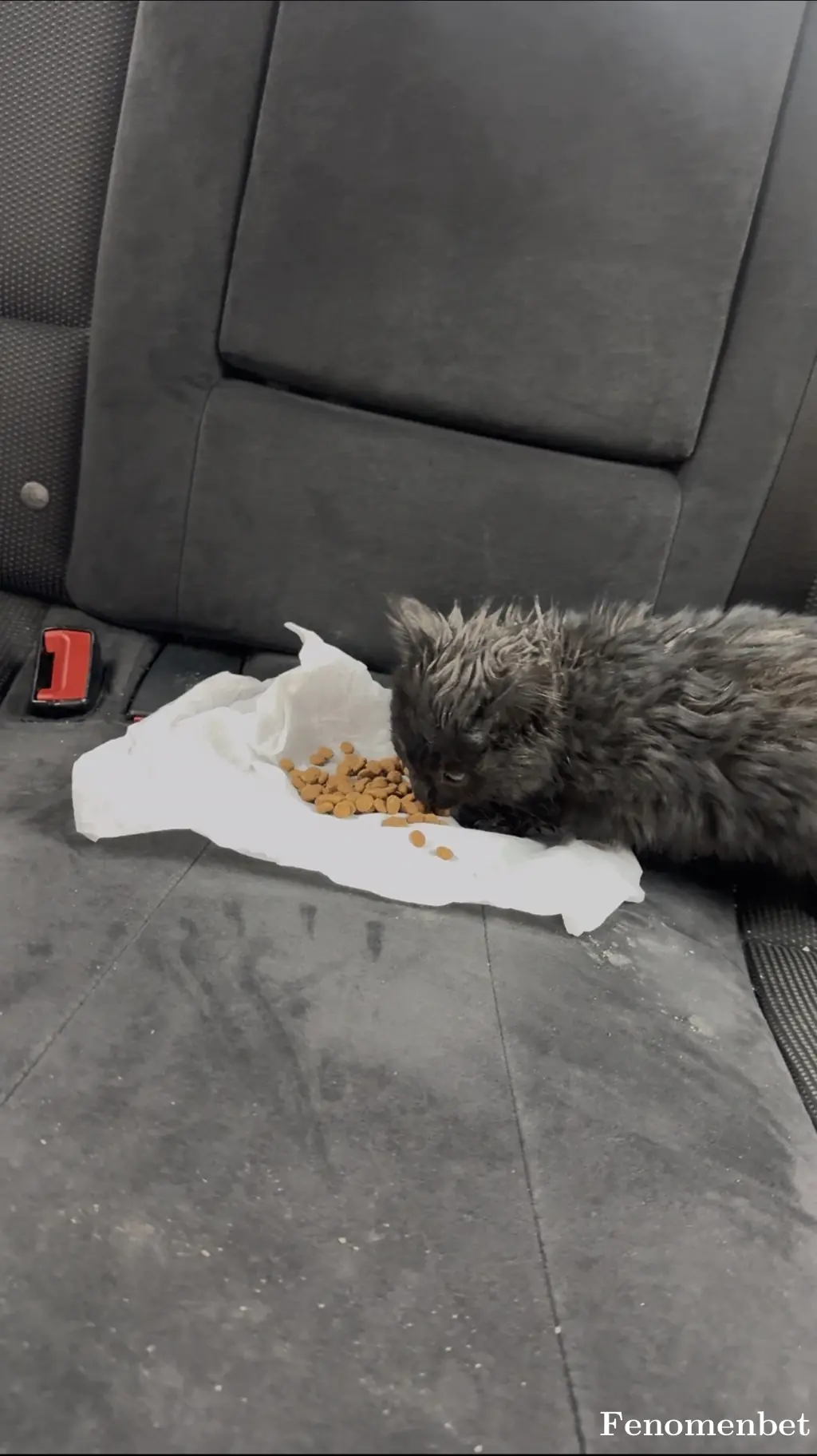 emreozdl tarafından paylaşılan fotoğraf