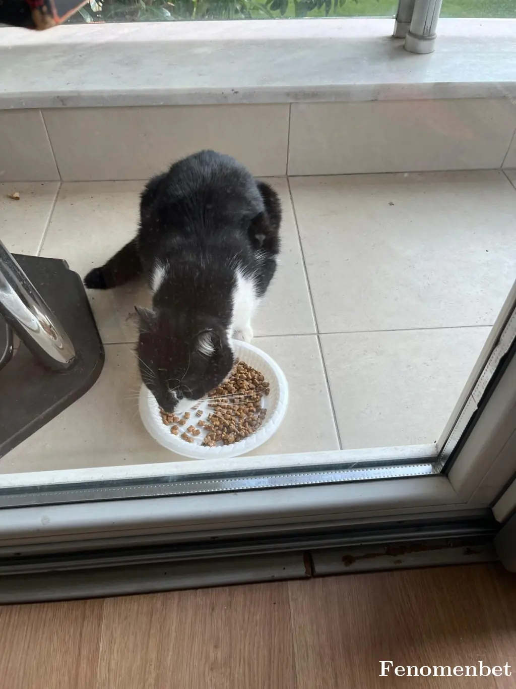 Uzay16 tarafından paylaşılan fotoğraf