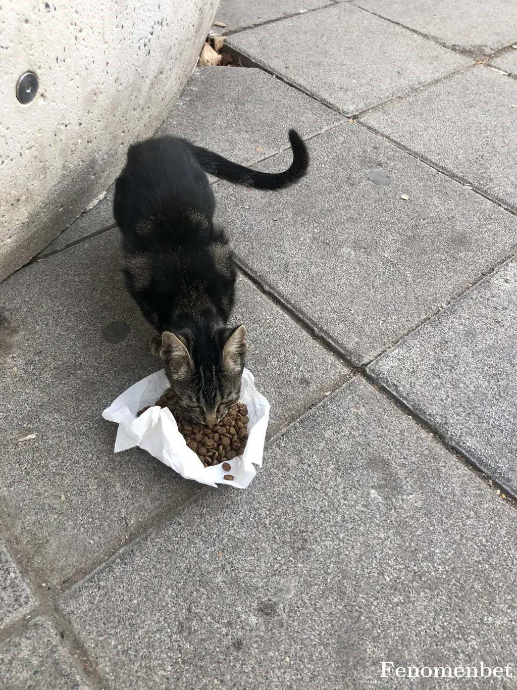 eorhan tarafından paylaşılan fotoğraf