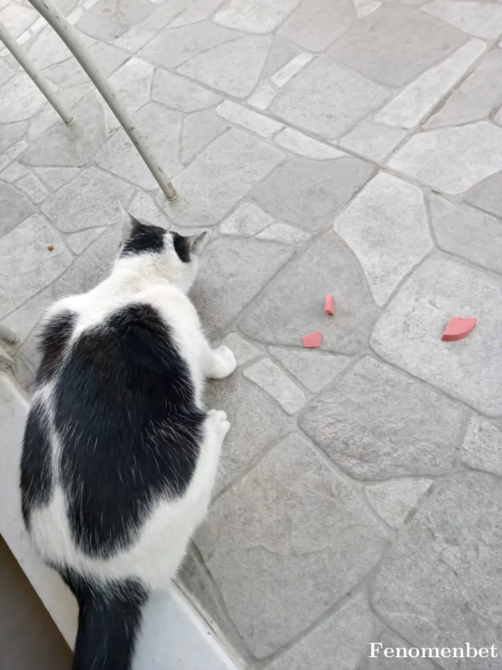 can67800 tarafından paylaşılan fotoğraf