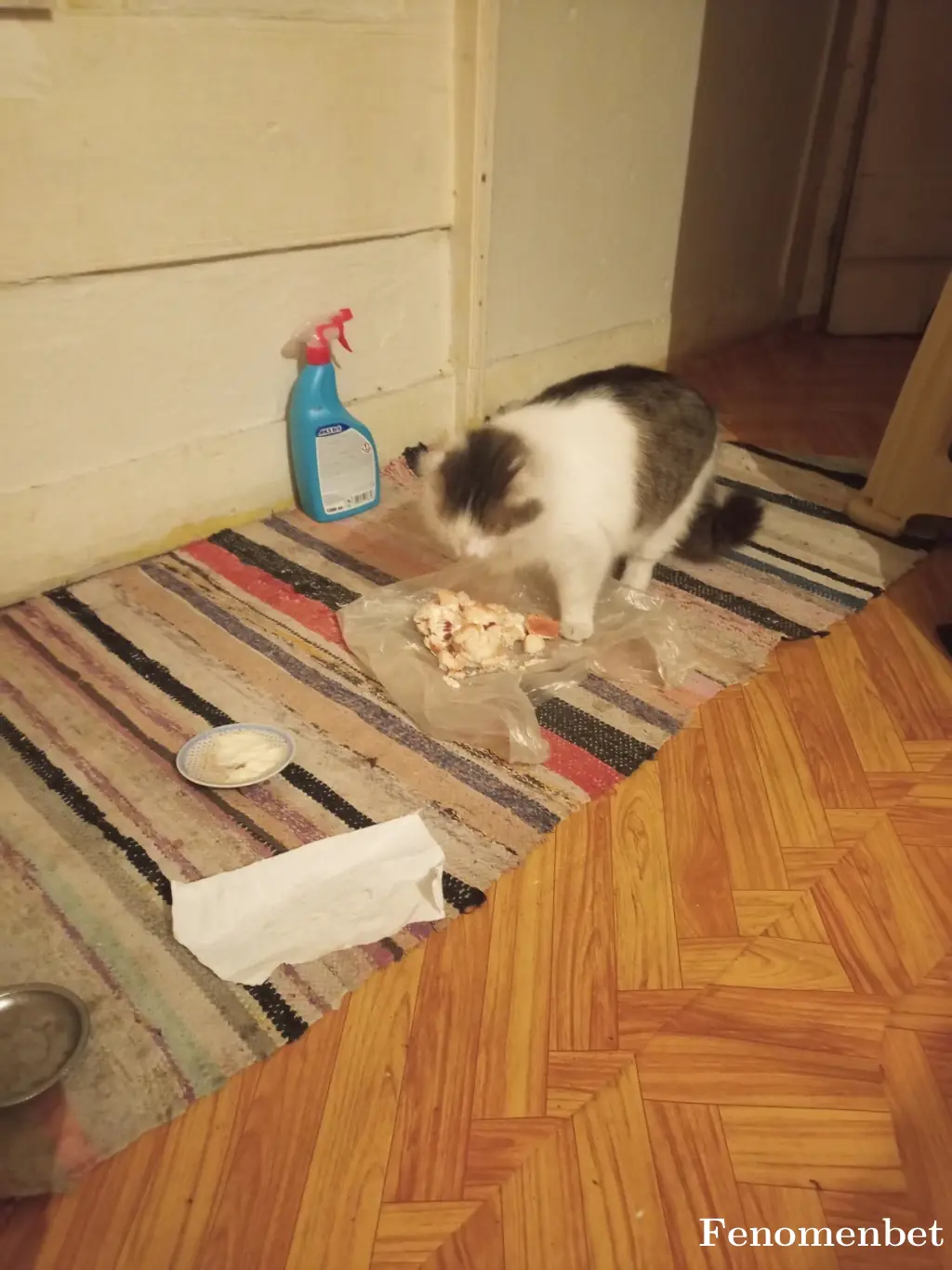 Antalya tarafından paylaşılan fotoğraf