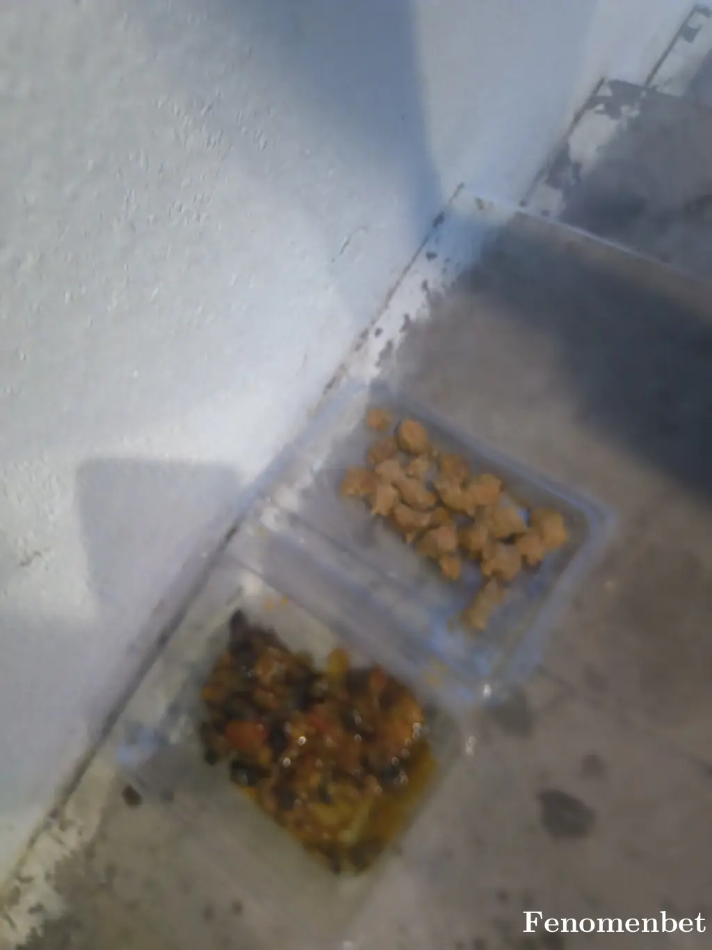 StoneFLX tarafından paylaşılan fotoğraf