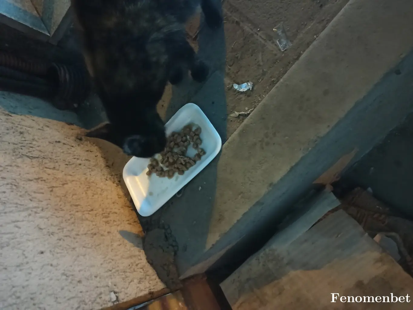 creativemre tarafından paylaşılan fotoğraf