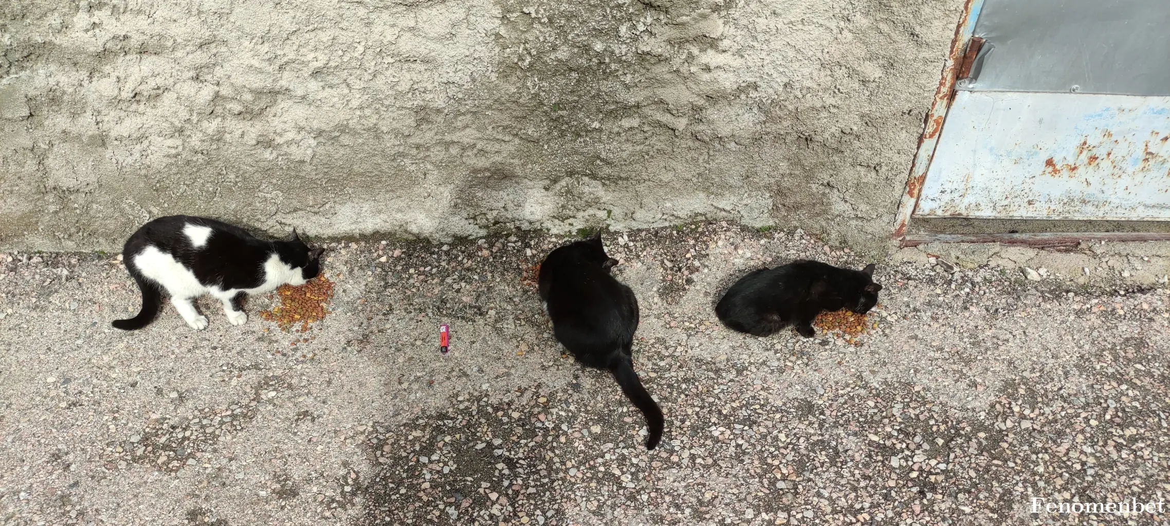 murat006 tarafından paylaşılan fotoğraf