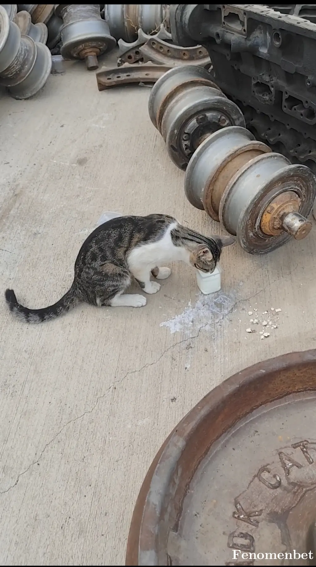 Petrolsporr tarafından paylaşılan fotoğraf