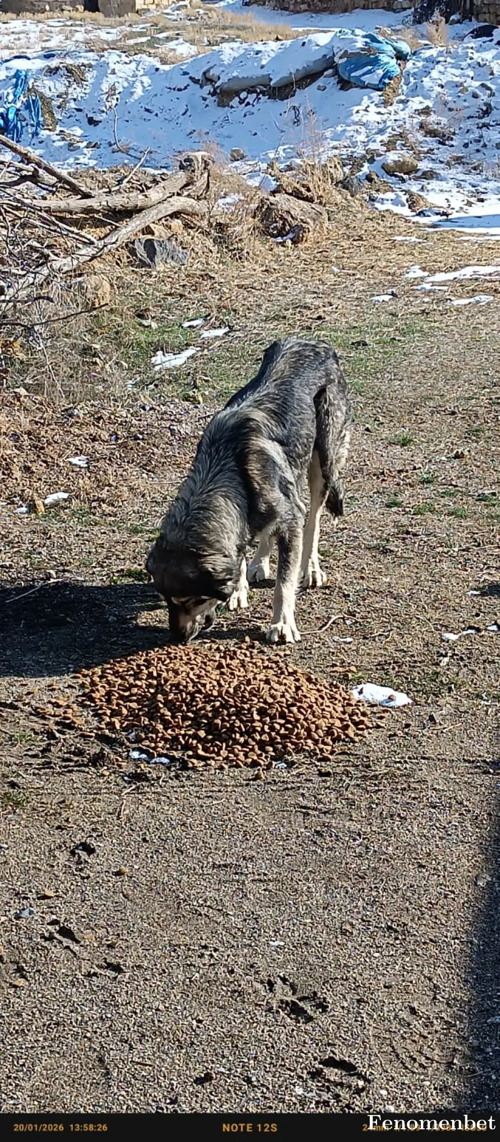Cengo50 tarafından paylaşılan fotoğraf