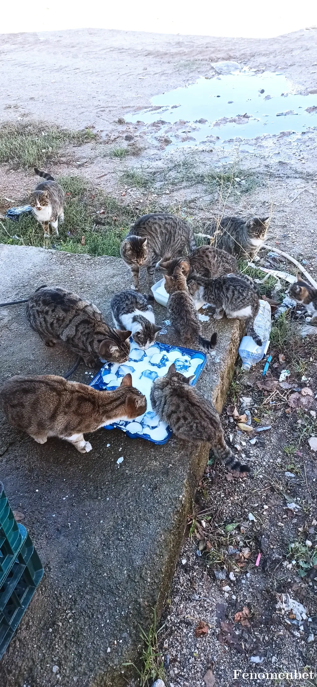 Fenomen324 tarafından paylaşılan fotoğraf