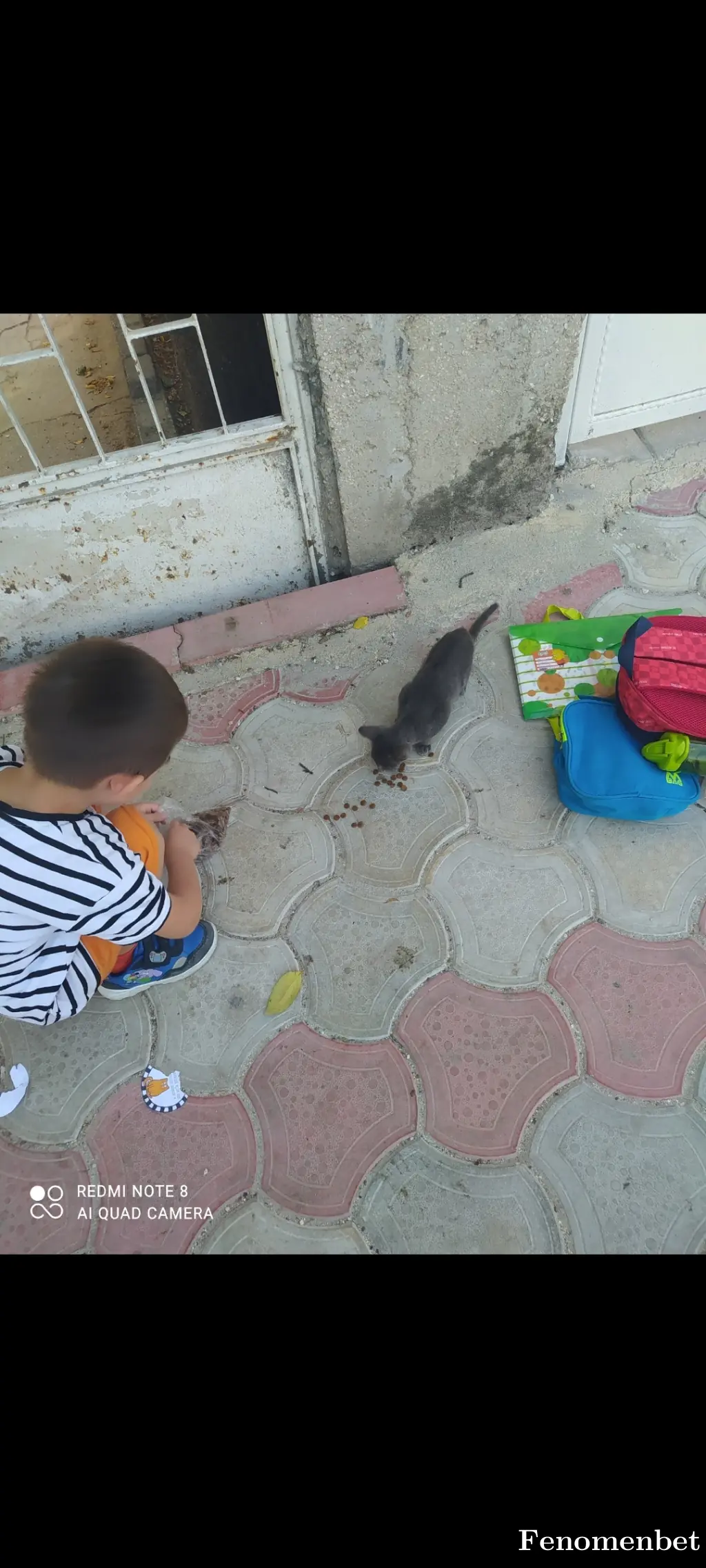 Cicice tarafından paylaşılan fotoğraf