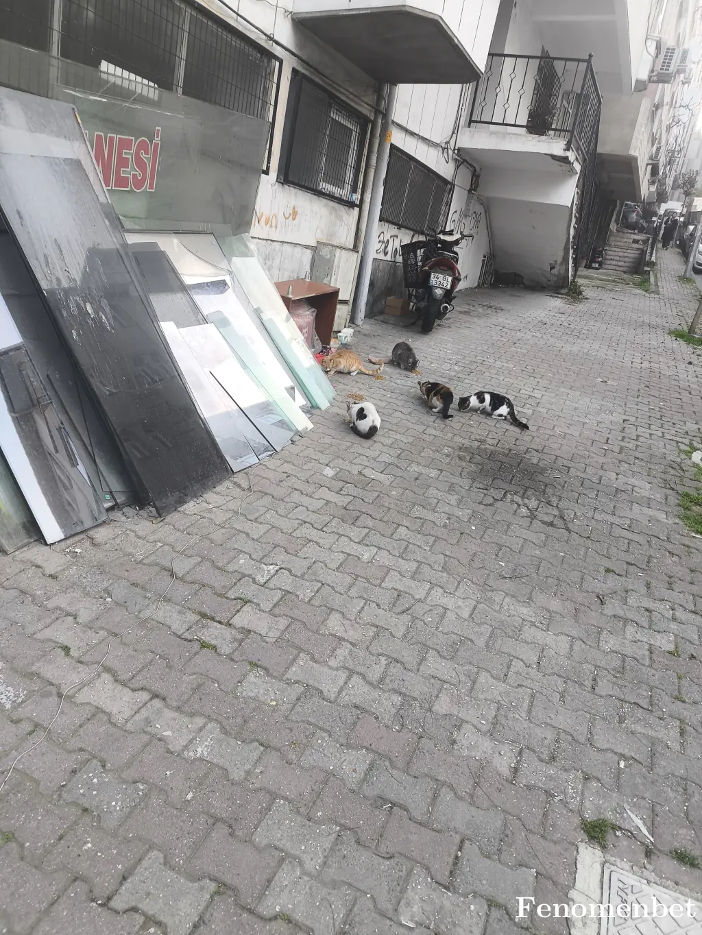 ramottt tarafından paylaşılan fotoğraf