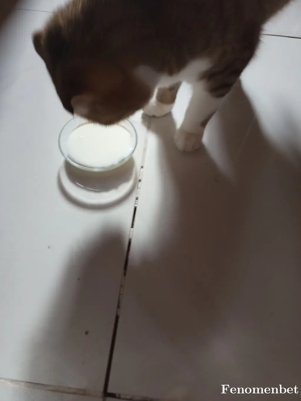 Mrym2116 tarafından paylaşılan fotoğraf