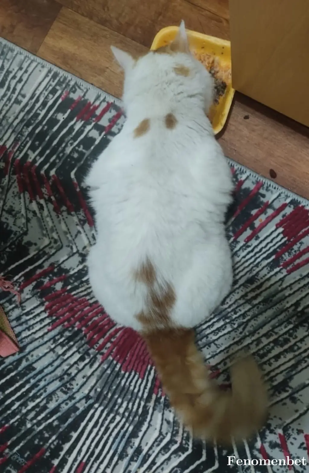 Mematixxxx tarafından paylaşılan fotoğraf