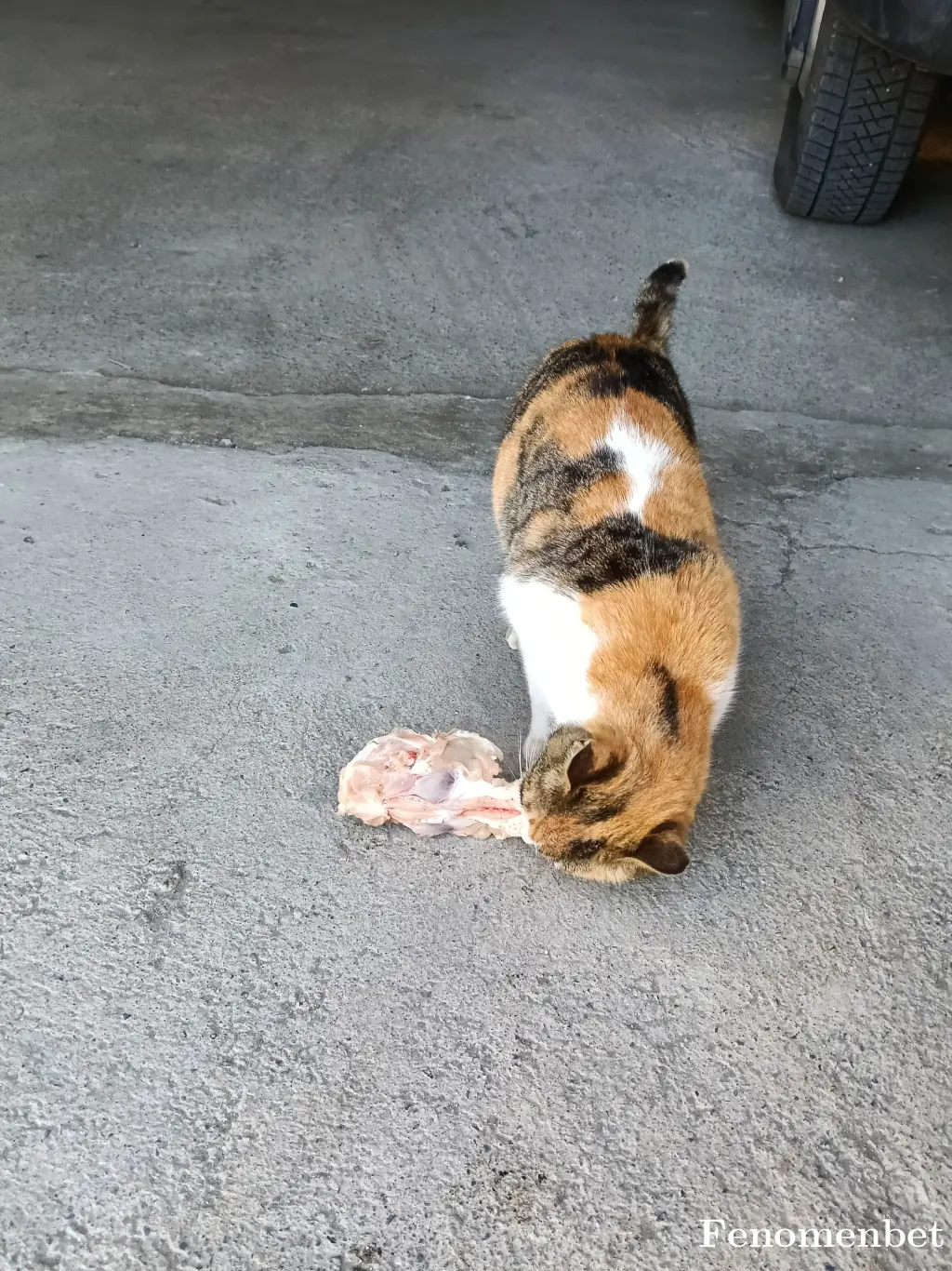 sheql28 tarafından paylaşılan fotoğraf