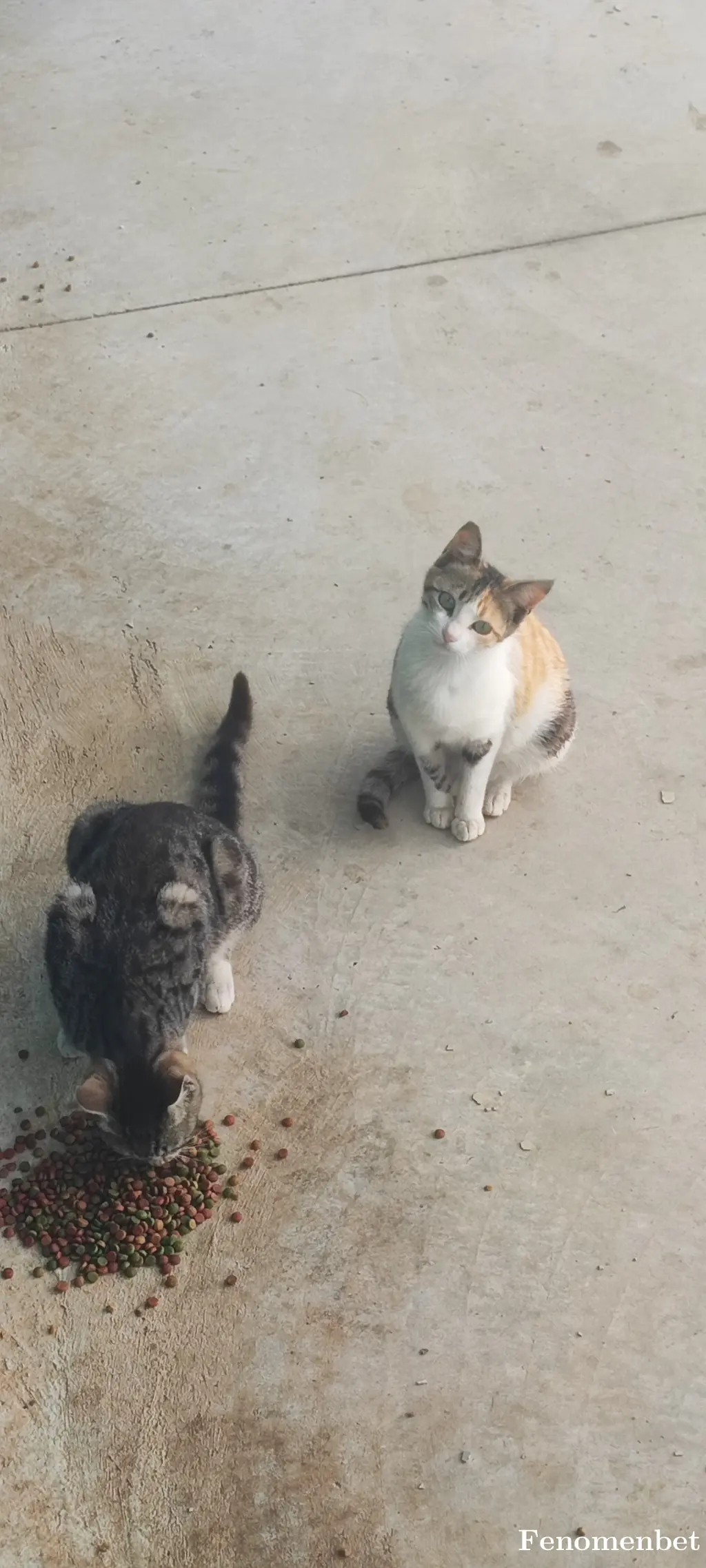 ayzek07 tarafından paylaşılan fotoğraf