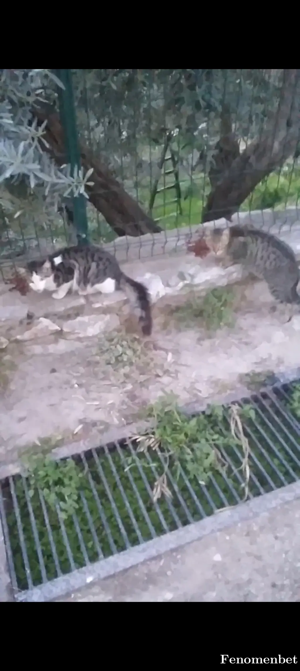 nrhy0666 tarafından paylaşılan fotoğraf