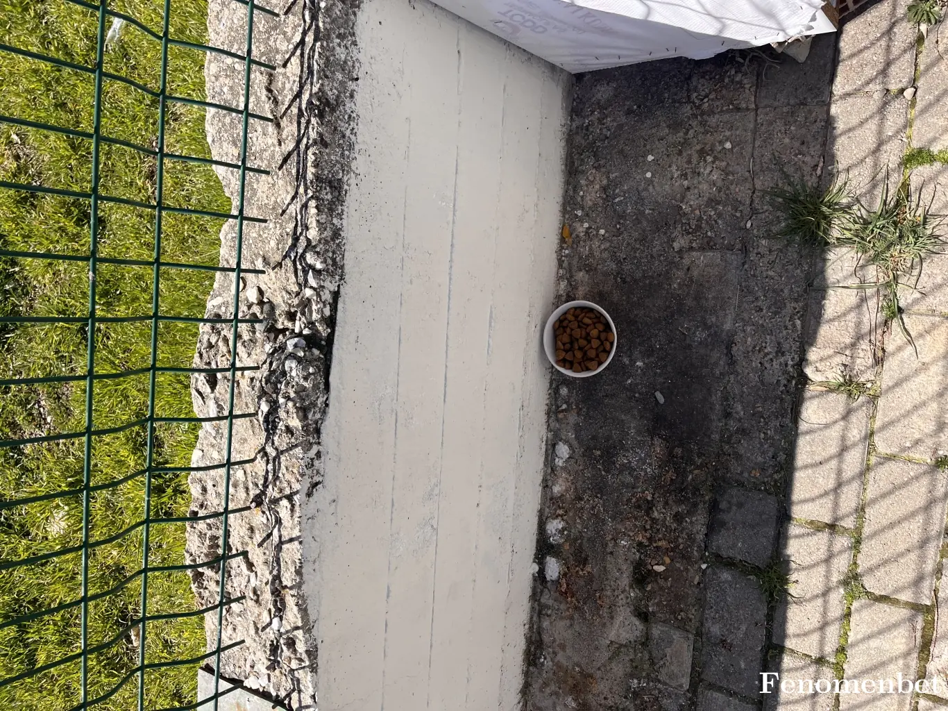 Beyazkin64 tarafından paylaşılan fotoğraf