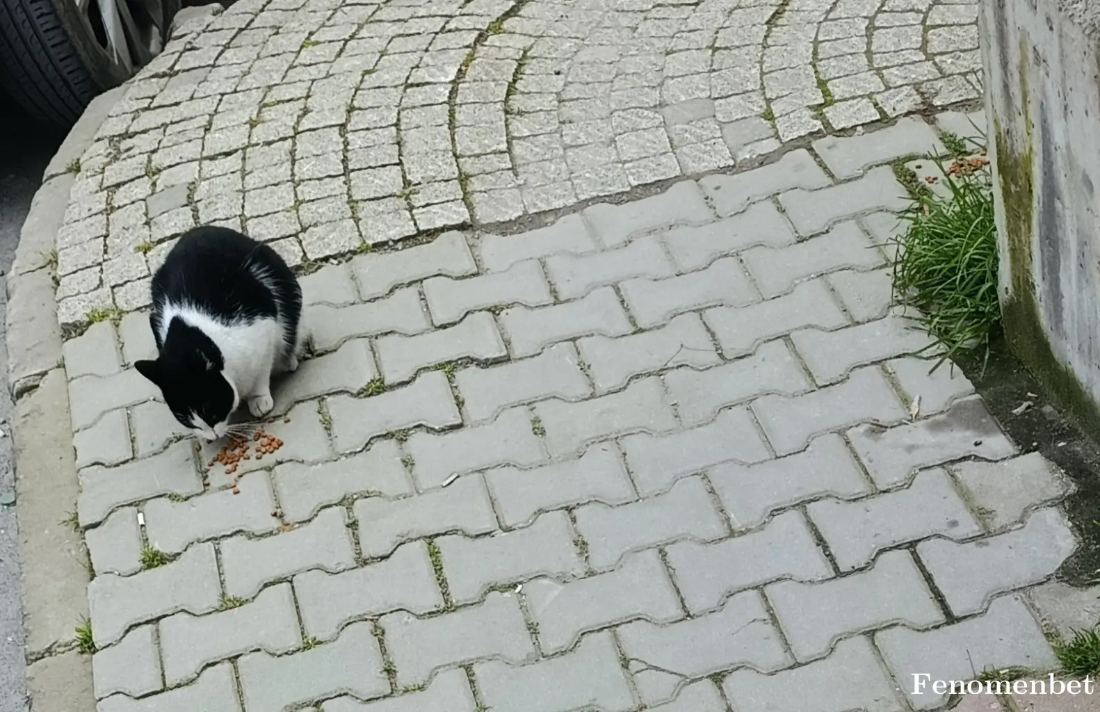 Redzon13 tarafından paylaşılan fotoğraf