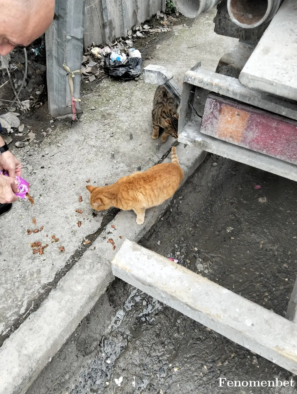 samet3434 tarafından paylaşılan fotoğraf