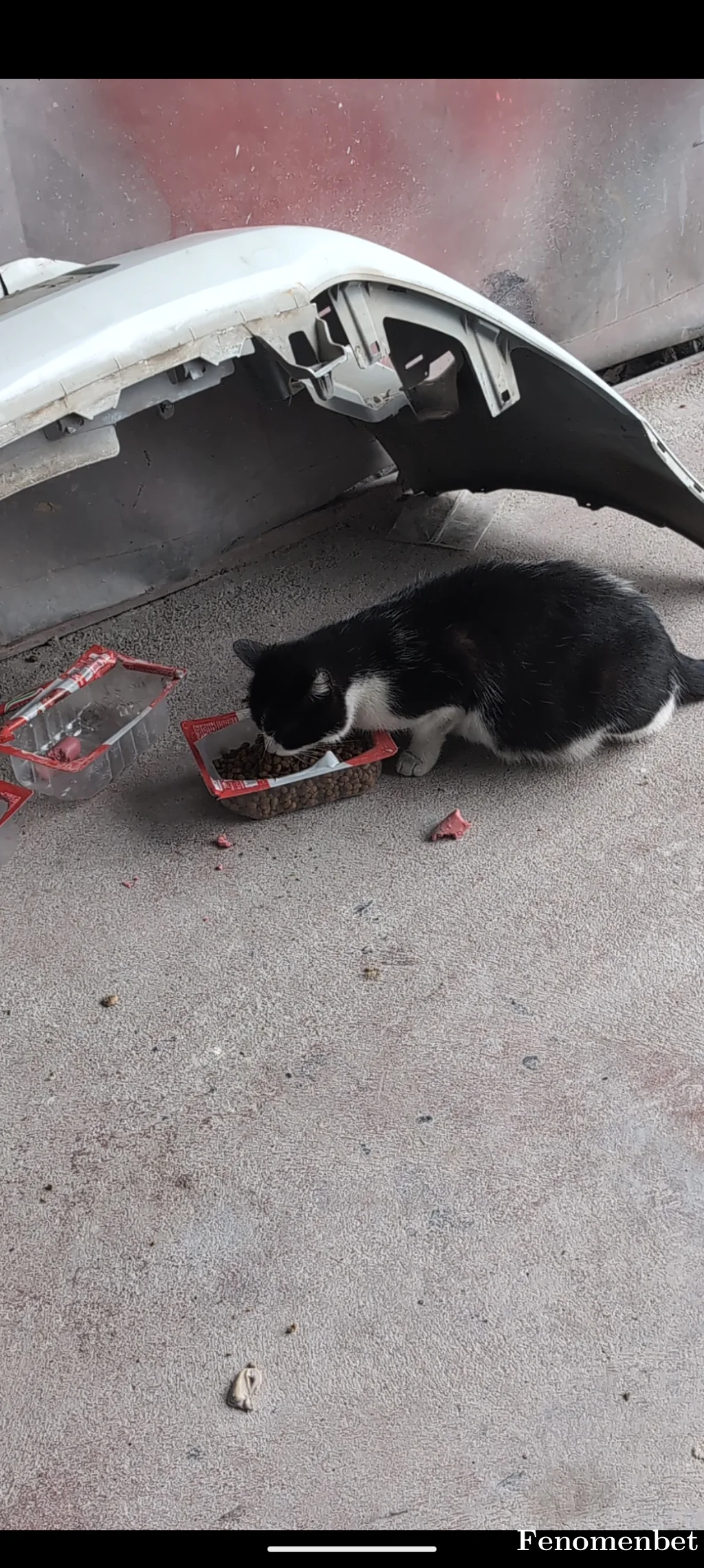 goce35 tarafından paylaşılan fotoğraf