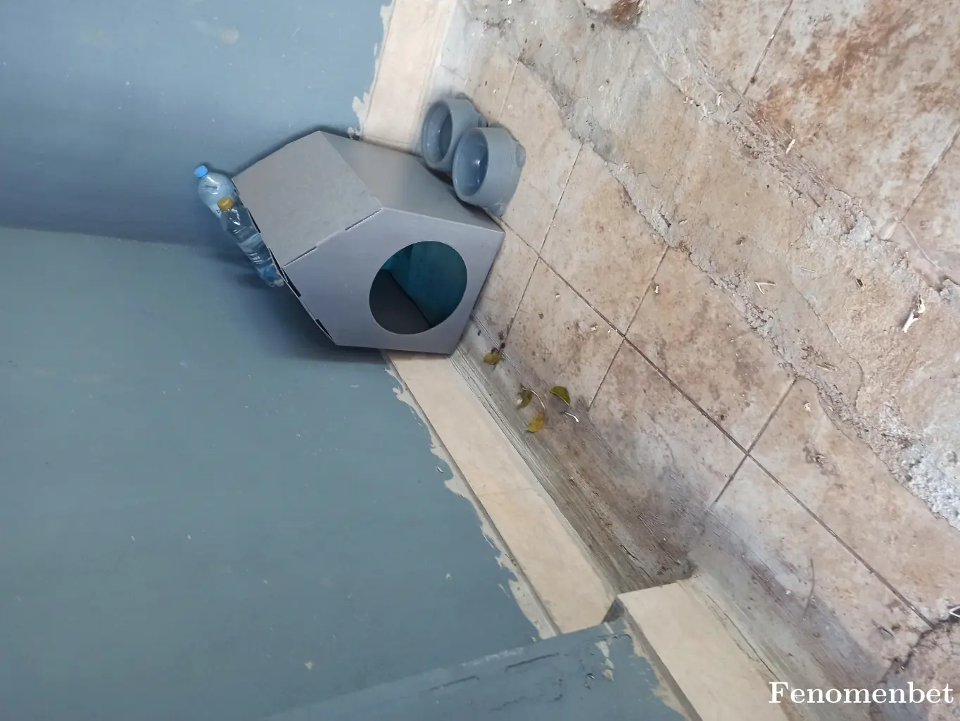 Simyasal tarafından paylaşılan fotoğraf