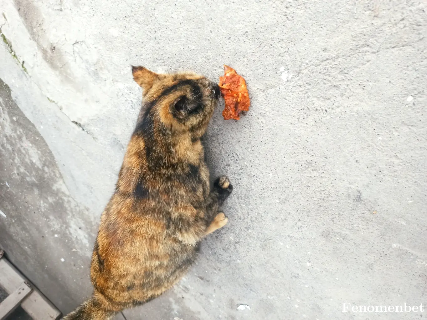 Velat1996 tarafından paylaşılan fotoğraf