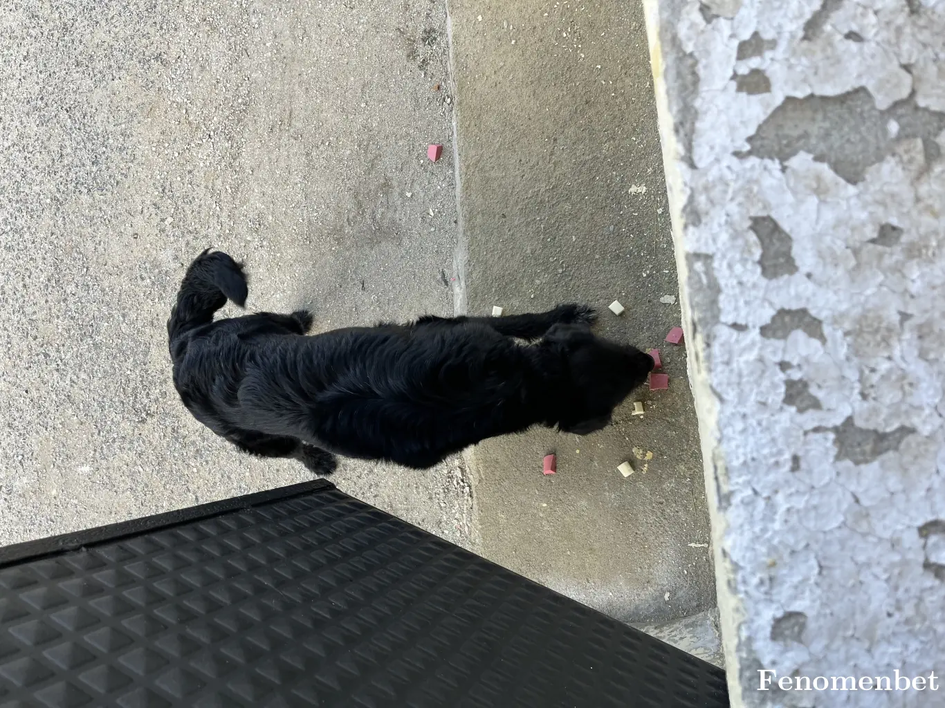 Hasoo001 tarafından paylaşılan fotoğraf