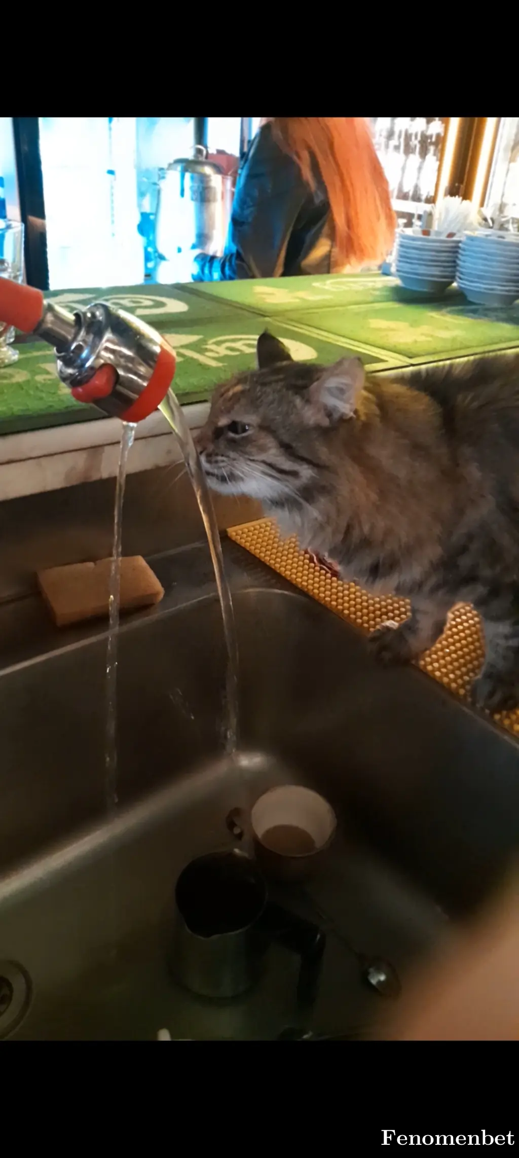 Yemrebaskin tarafından paylaşılan fotoğraf