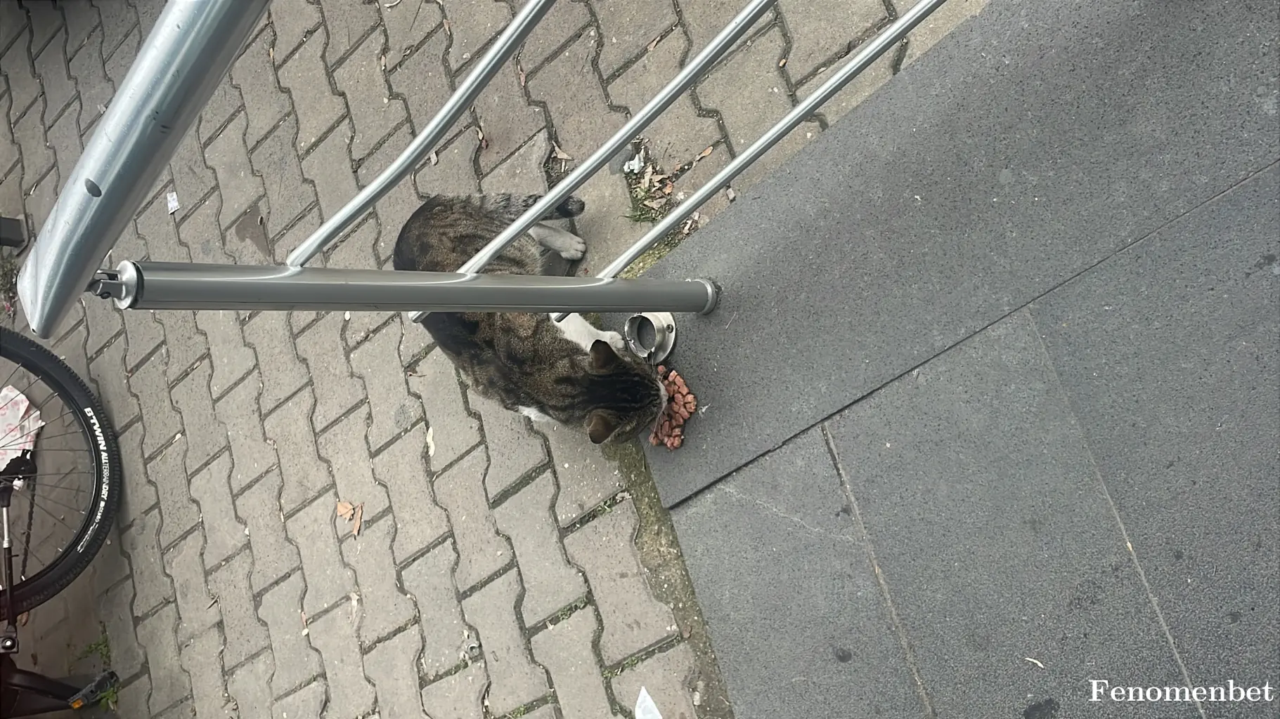 Boss1907 tarafından paylaşılan fotoğraf