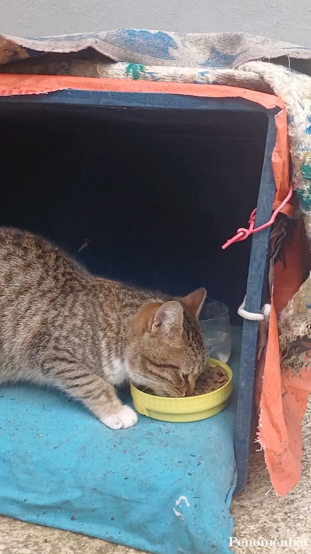 Yunusizim99 tarafından paylaşılan fotoğraf