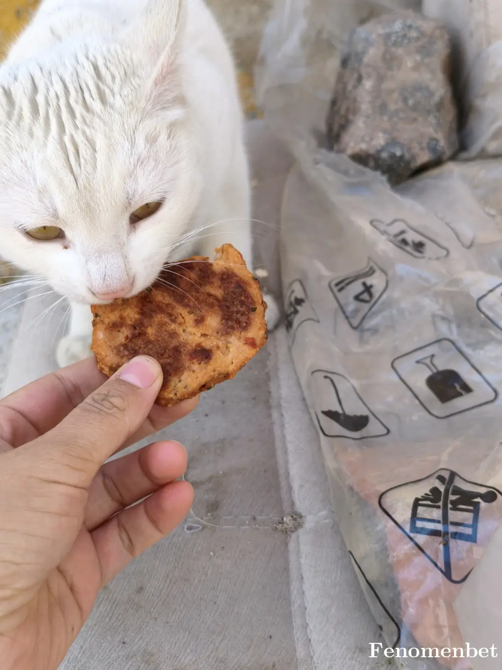 Algur21 tarafından paylaşılan fotoğraf